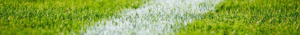 Outdoors-Football-Soccer-Lawn-Field-Sports-Grass-2616911
